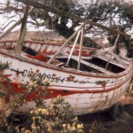 Restauration d'une Vaquelotte